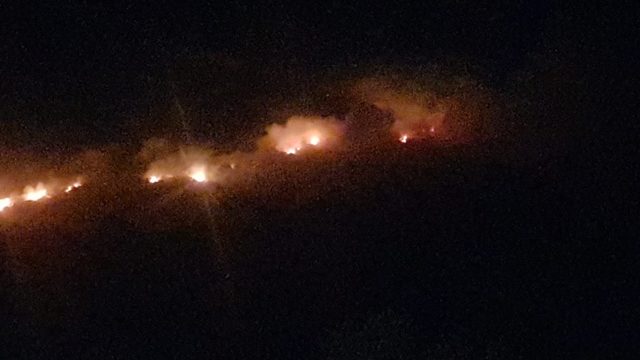 Aydın’da yangın; Makilik alanda başlayan yangın ormana doğru ilerliyor