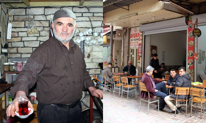 cats-006.jpg cats-006.jpg