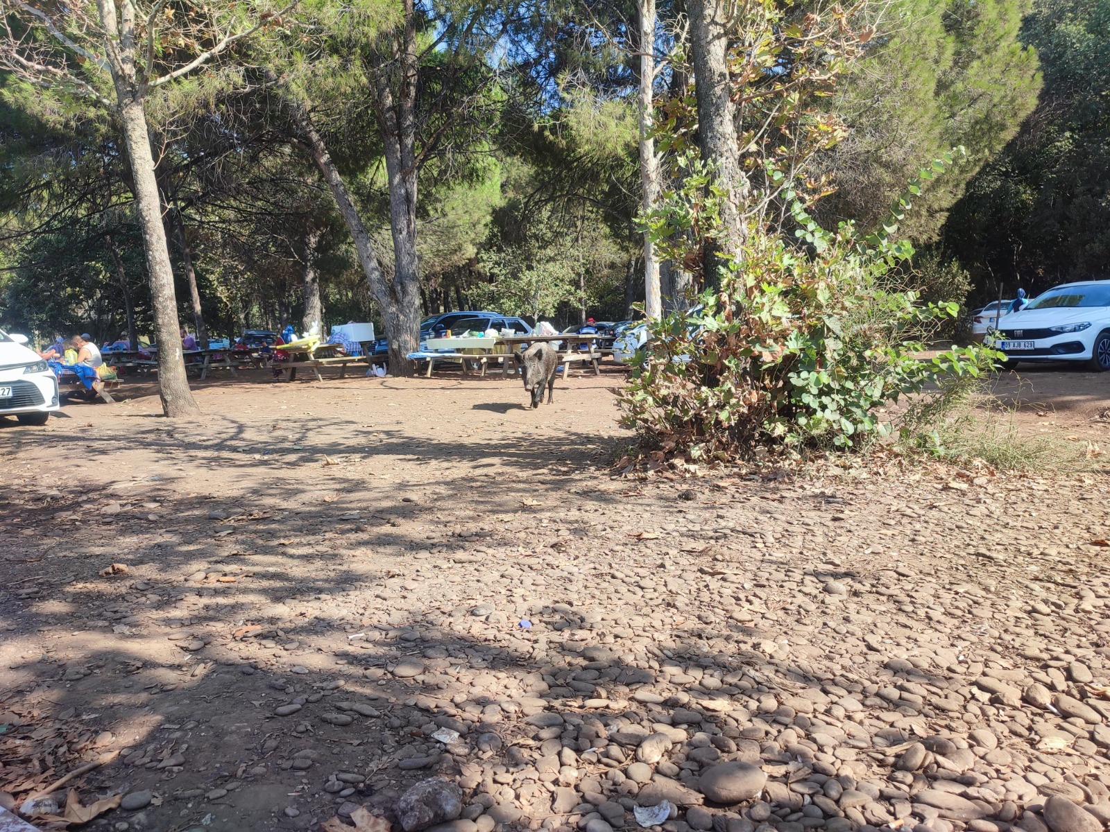 626abbe4-2037-4597-8e82-69a92ccaa156