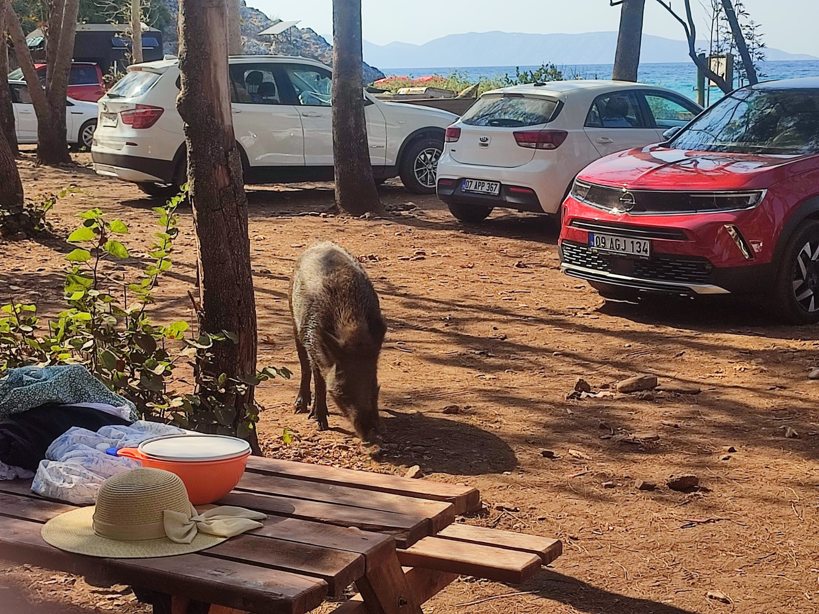 c74f5d28-30f6-4ed4-862e-cc4857a9a6e9