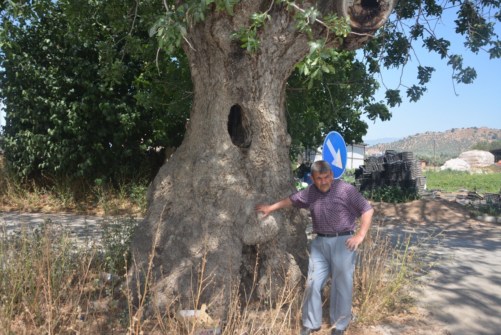 6Fd197Ab 2525 400A 8Bcc 306E2Cbee97C