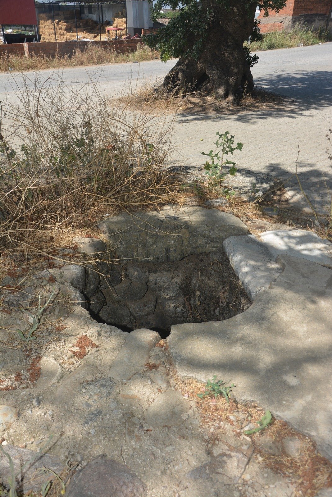 9E517277 32B6 4B68 82C6 E5F2958228Cc