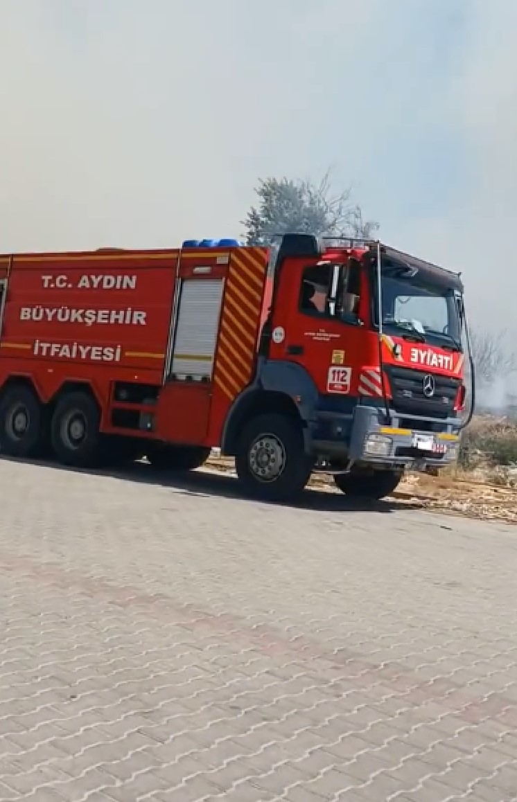 A W217709 03