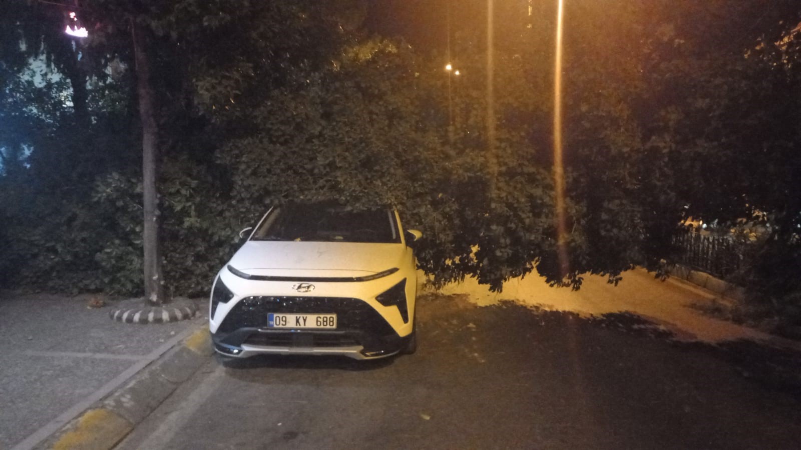 Aydın’da Devrilen Ağaç Park Halindeki Otomobile Zarar Verdi2
