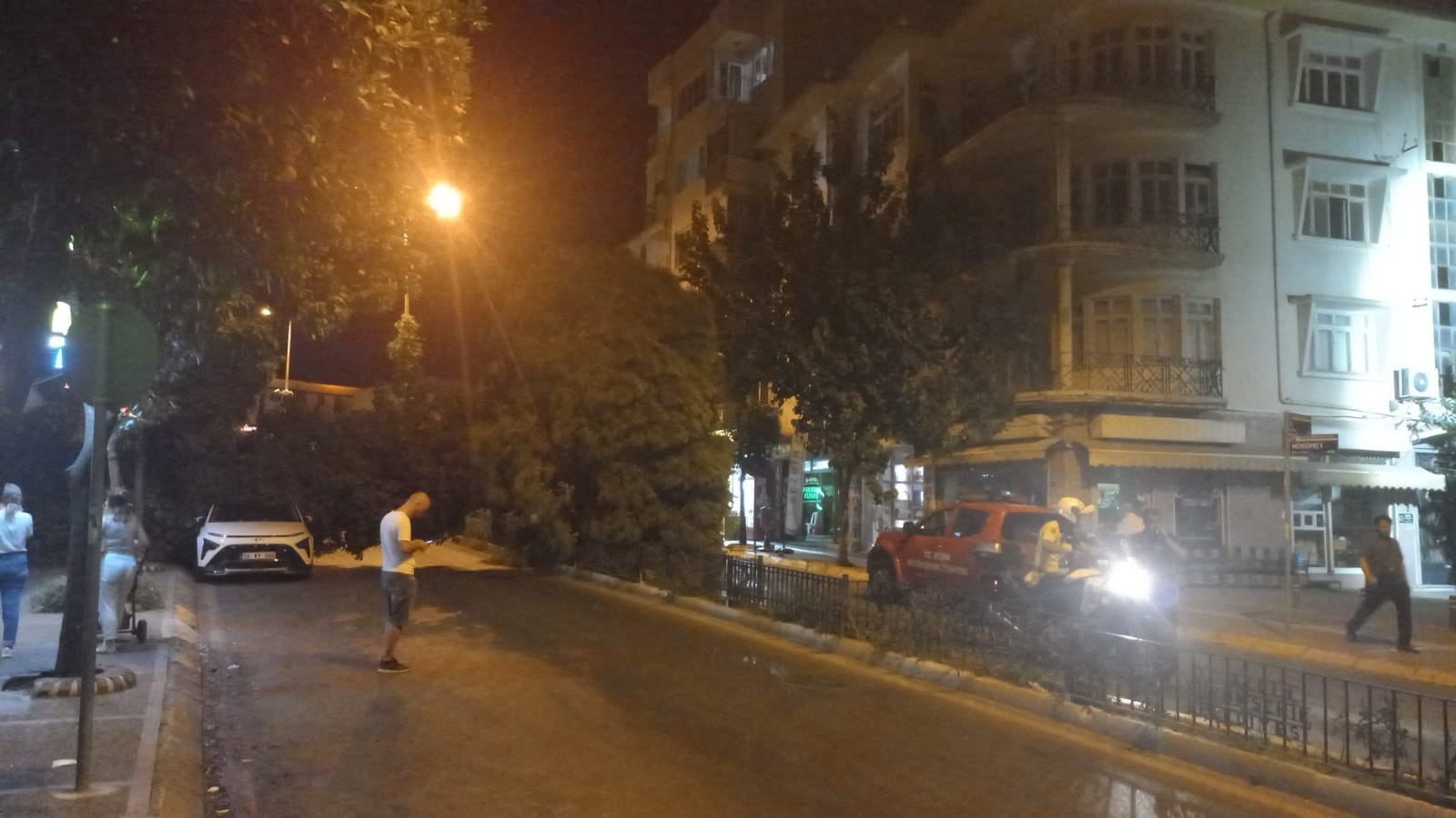 Aydın’da Devrilen Ağaç Park Halindeki Otomobile Zarar Verdi3