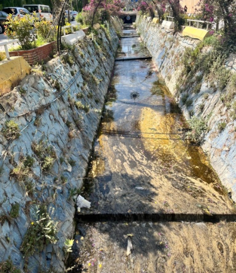 Kuşadası Dere Pisliği