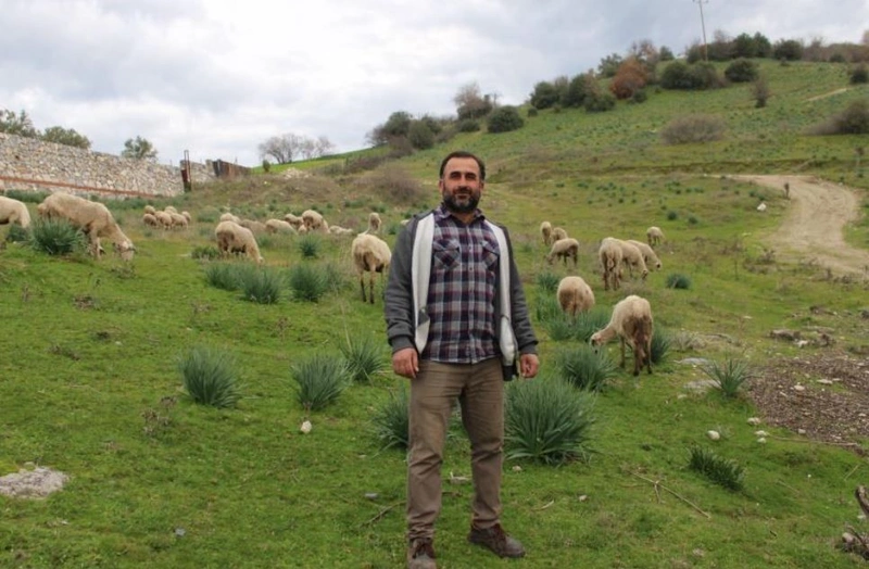 Aydin 2 4Vdx