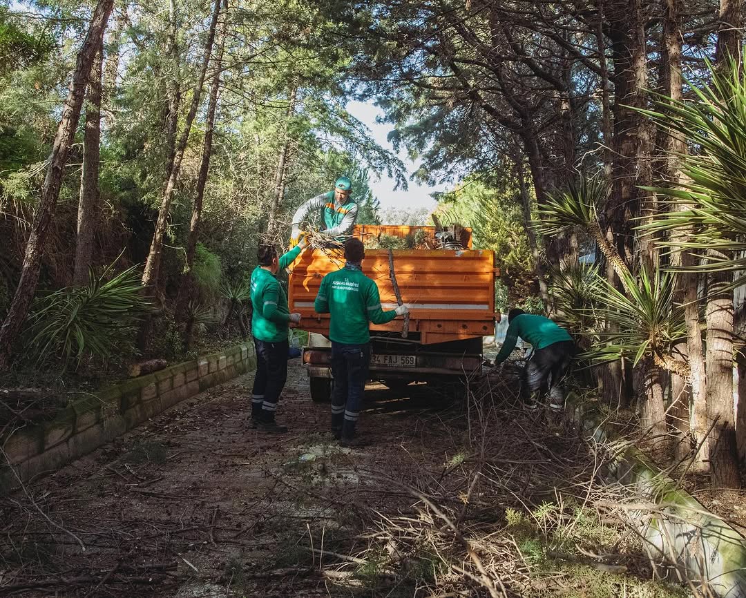 Save Clip. App 470984574 18490255051000032 5716976521651133409 N