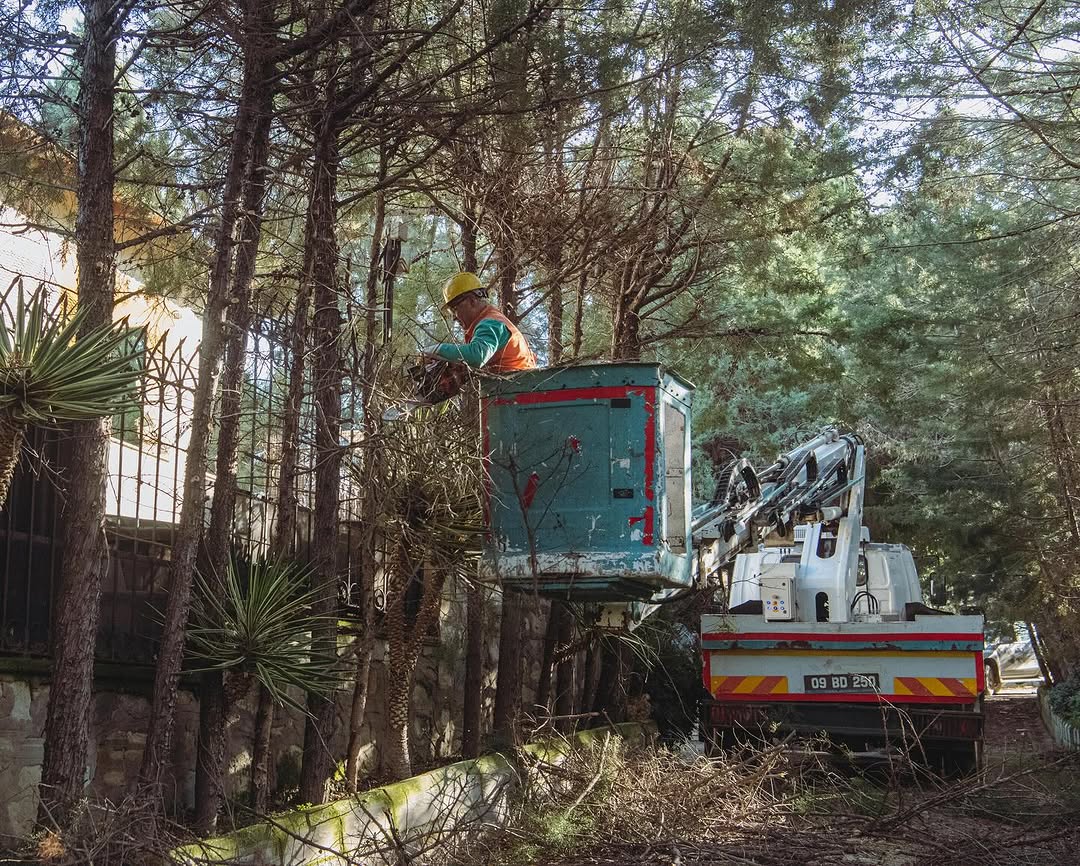 Save Clip. App 472285628 18490255063000032 1130800012173828433 N