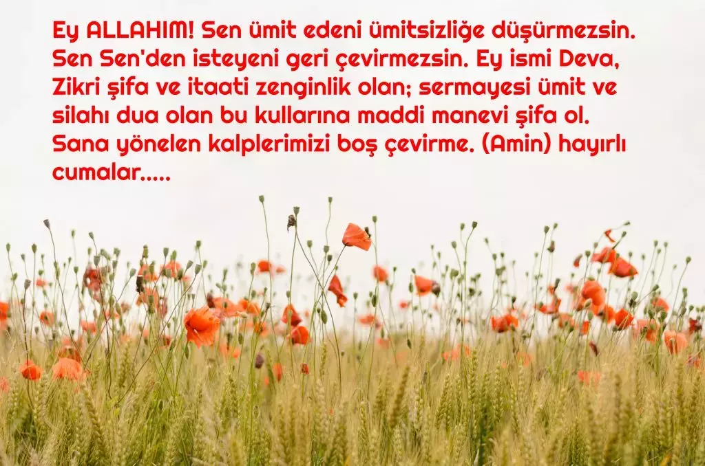Cuma Mesajları (2)
