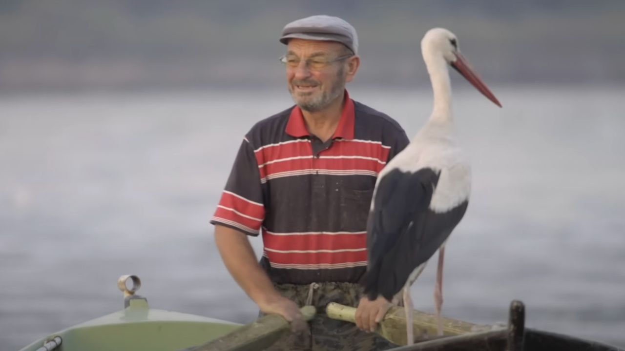 Yaren Leylek Geldi Mi Aciklama Geldi Balikci Adem Yilmaz Ile Bu Sene De Bulusmasi Bekleniyor 17412477564126