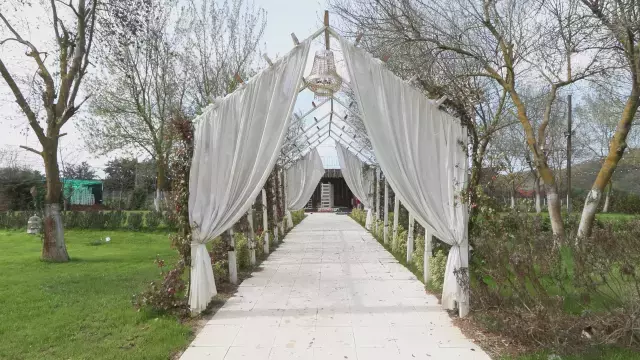 Istanbul Dugun Salonlarindan Yeni Uygulama 18499353 7540 M