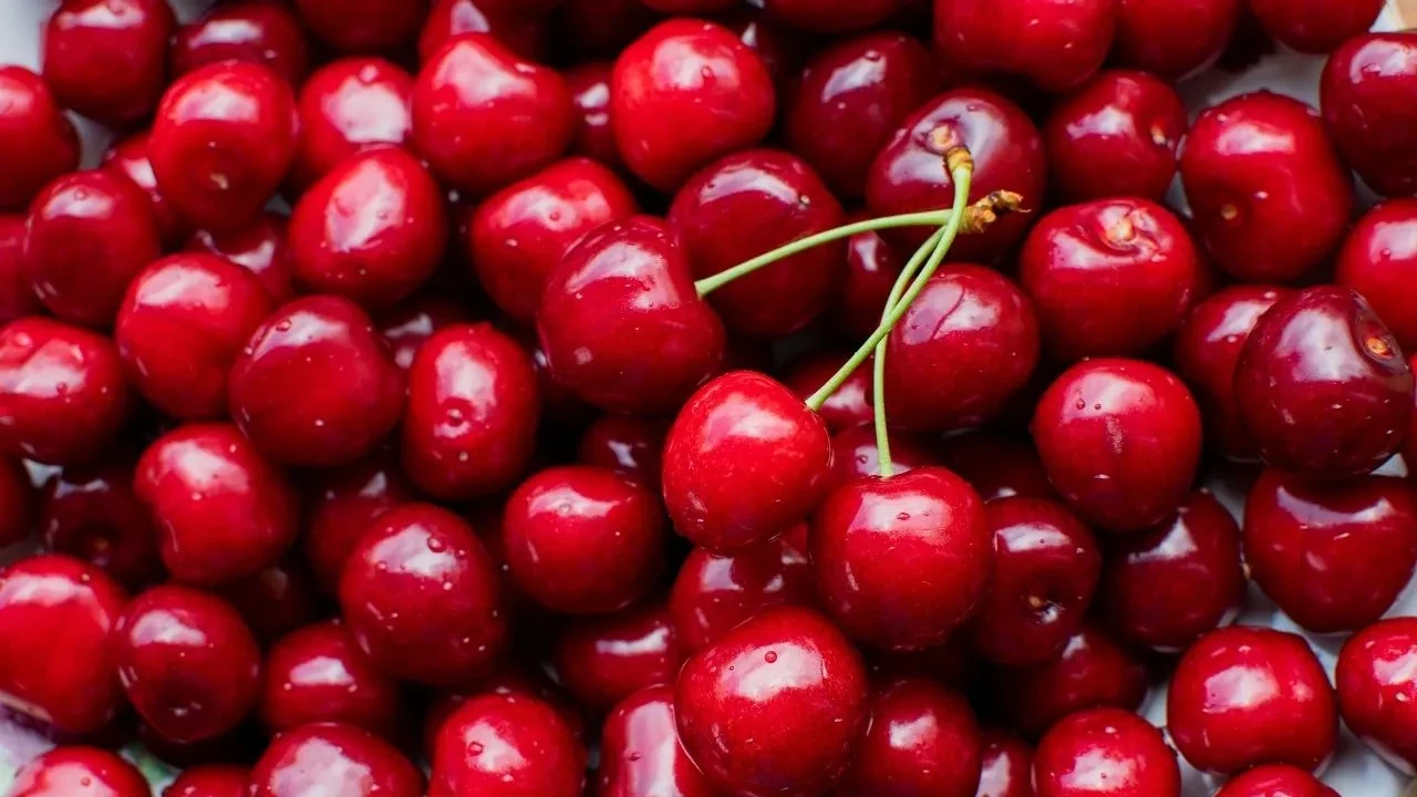 Manisada Yetisiyor Ruslar Kapis Kapis Aliyor Kilosunun Fiyati 3 Bin Tl Faydalarini Sa 3213542 202504141100 3
