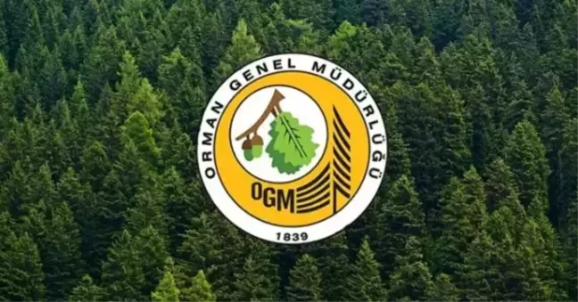 Ogm Personel Alimi Sonuc Ekrani Orman Genel 18551467 6020 Amp