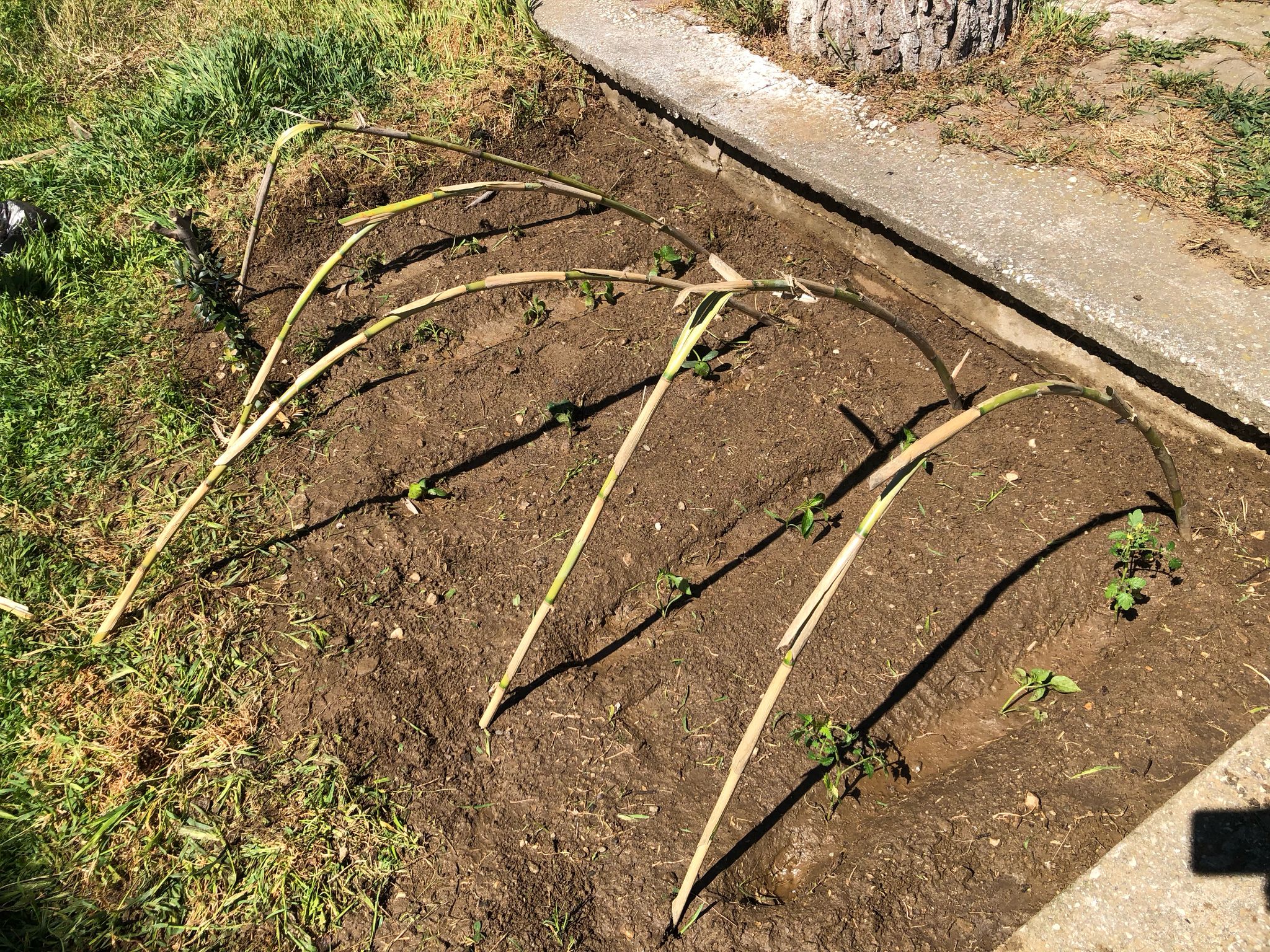 406C51A3 81E7 4B46 B1D0 Df5438068064