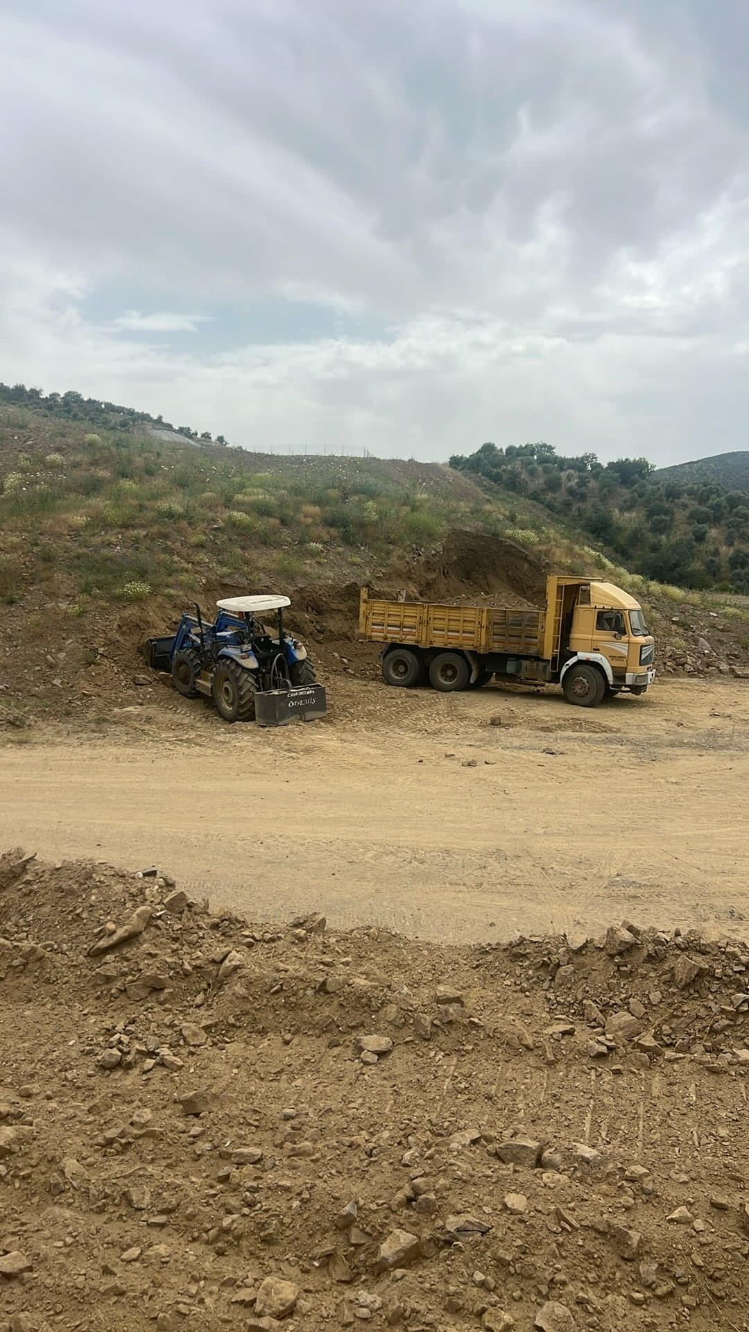 A W462120 02
