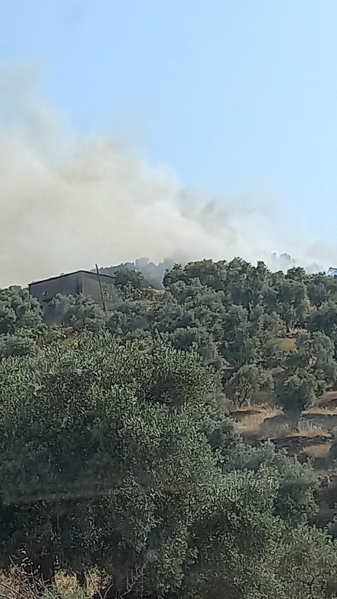 A W473458 02