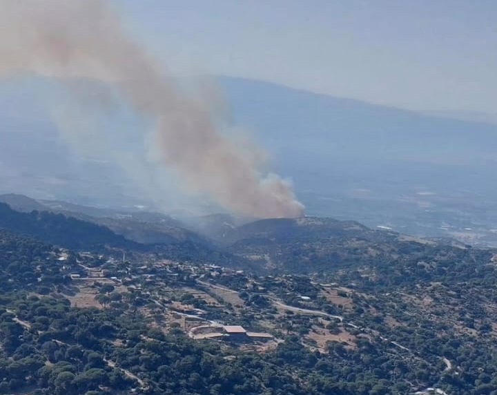 Resim 2025 06 22 181443050