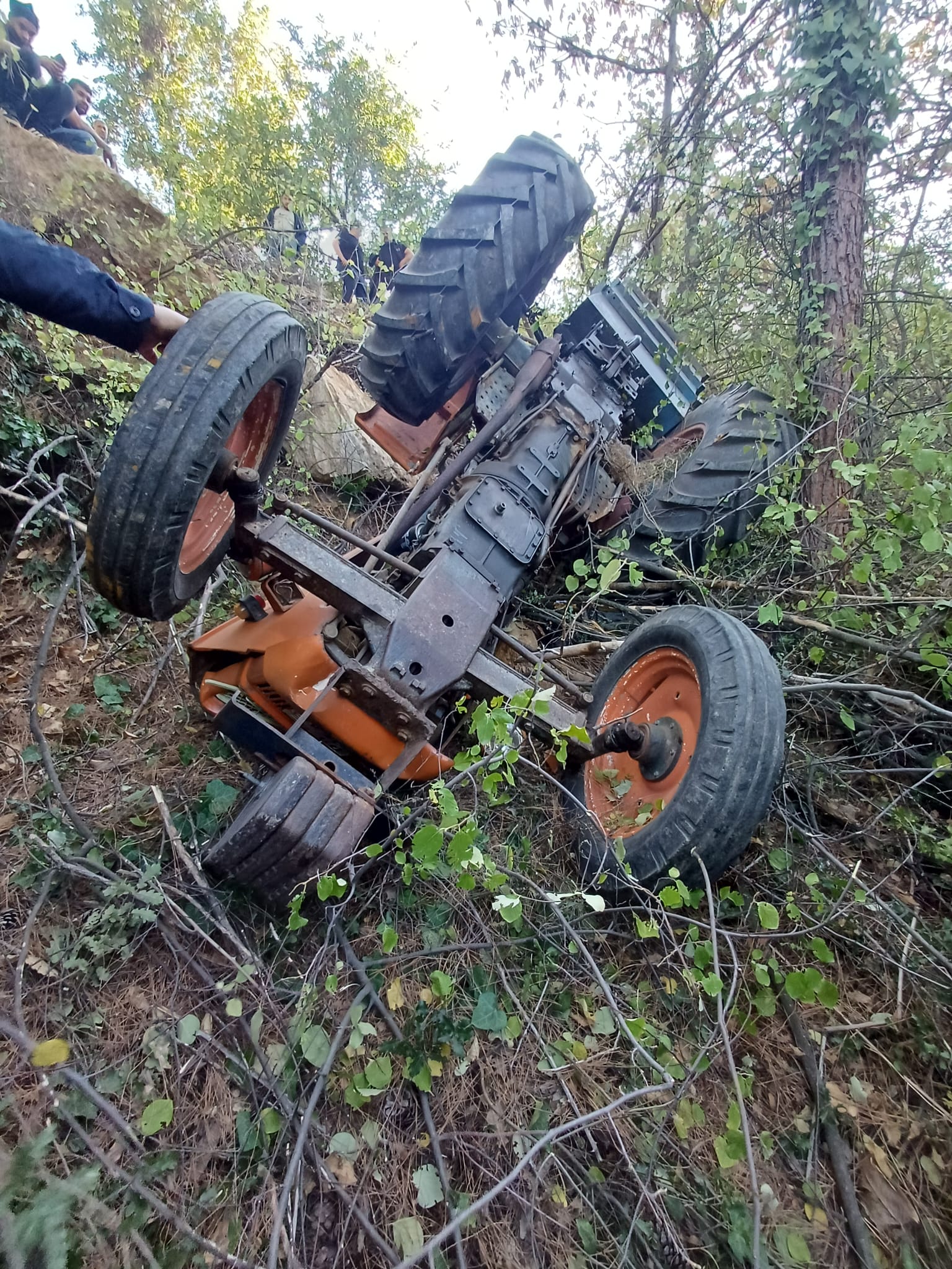 388112F6 140F 4C0F 8A97 34412D05Db8A