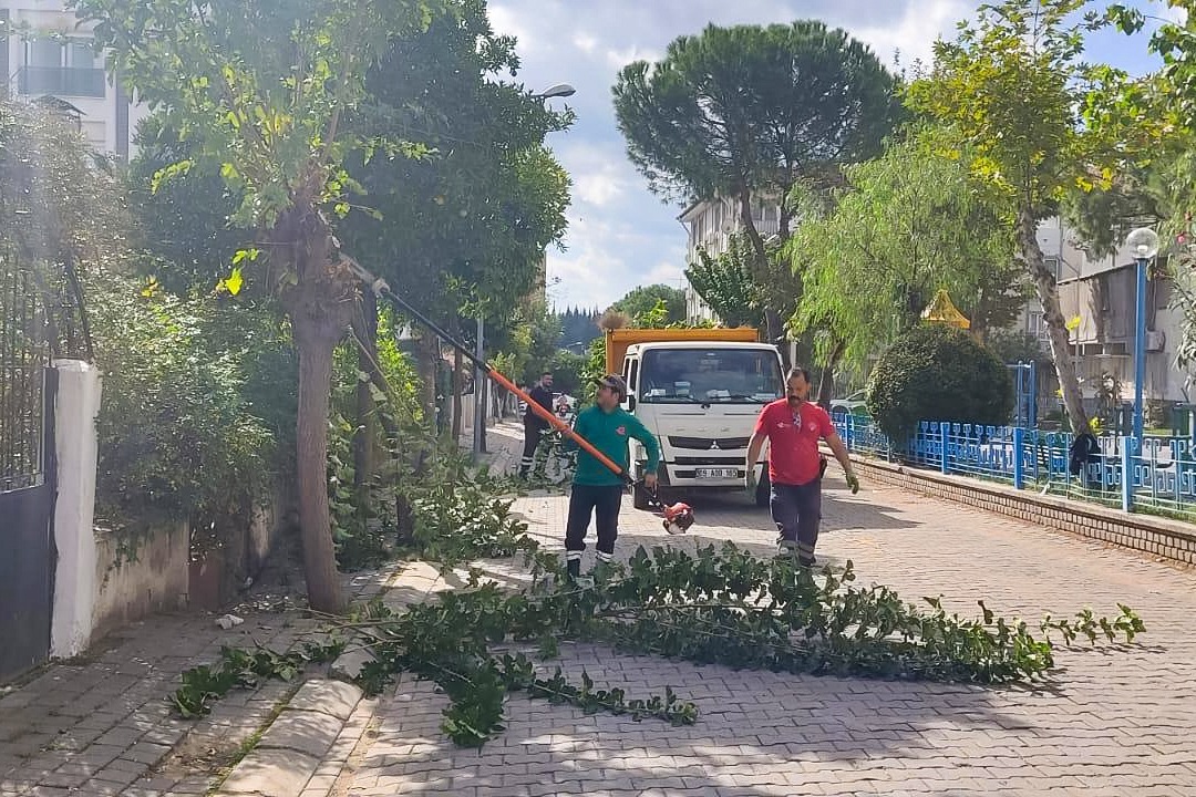 472Ccfc4 8169 4026 Ae0D 6D310D474Ae9