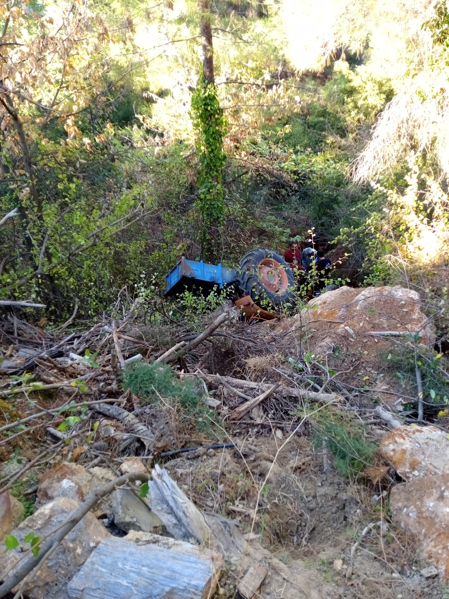 5D79Da1D 770E 49E8 915D 803301F96016