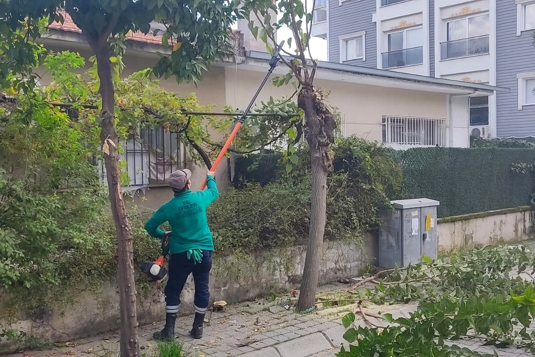 82F64C30 7415 46E1 Aa99 37Aba1Ced9B7