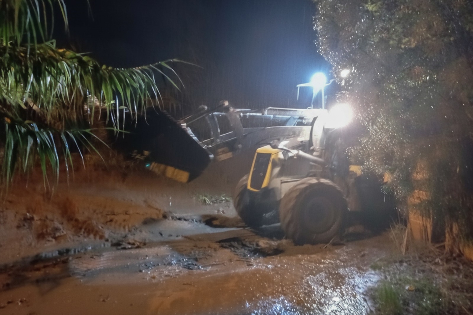 D2Ee8F70 E04A 4537 A288 A57Ca8E61D86