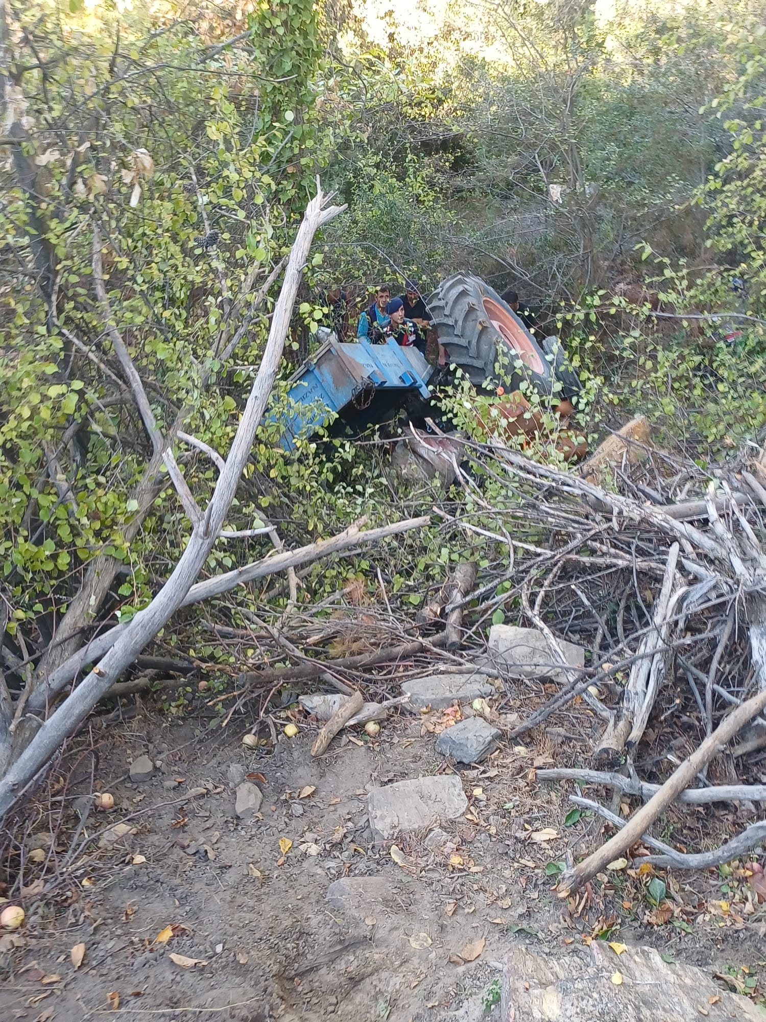 Da2Ca3D4 C94F 40Fa 9E7D F4294F92Cc2F