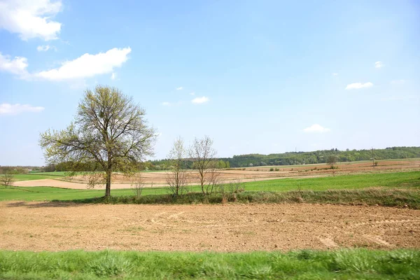 Siracta Satilik Bos Tarla