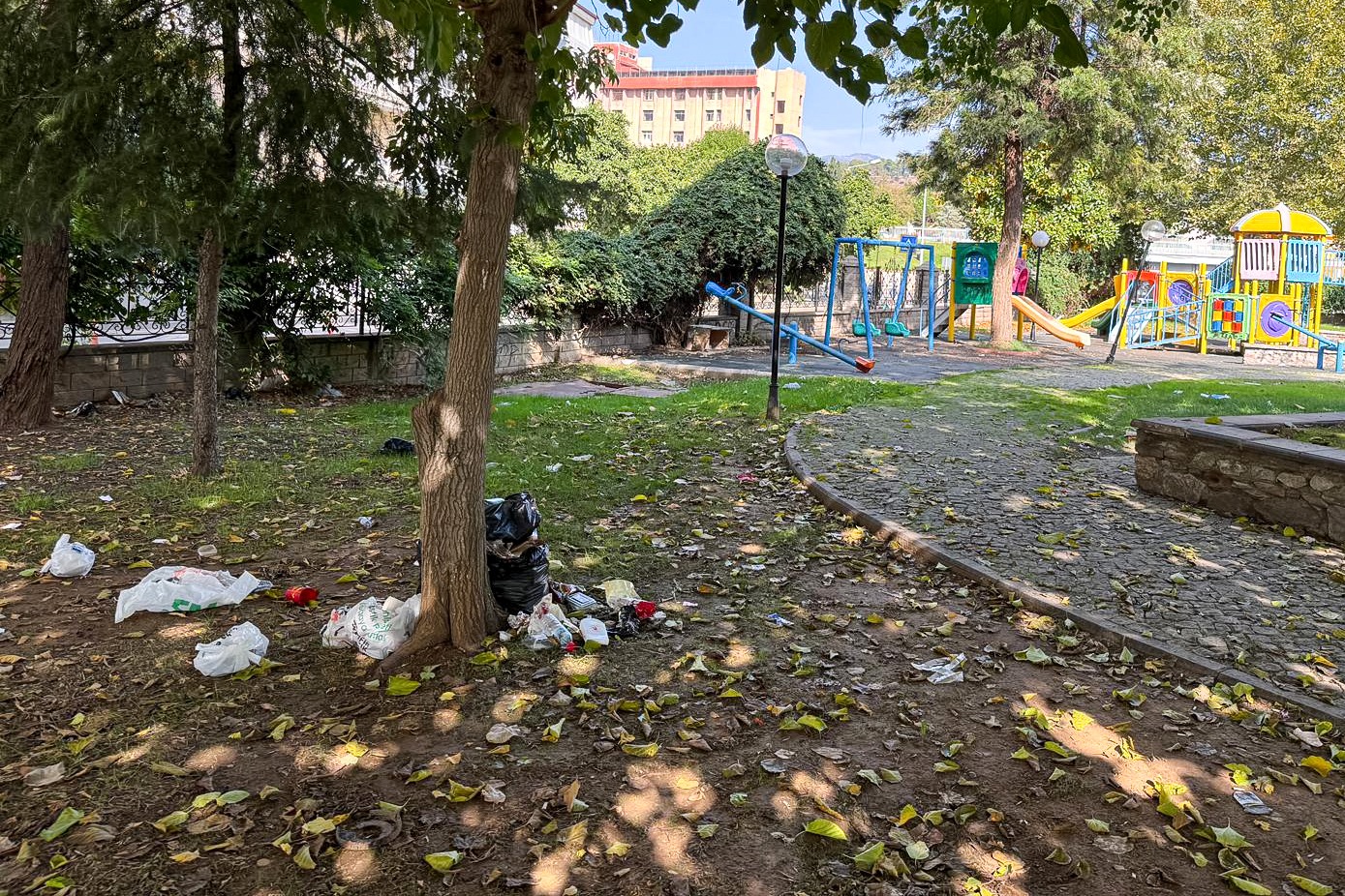 Whatsapp Image 2025 10 28 At 14.45.54 (1)