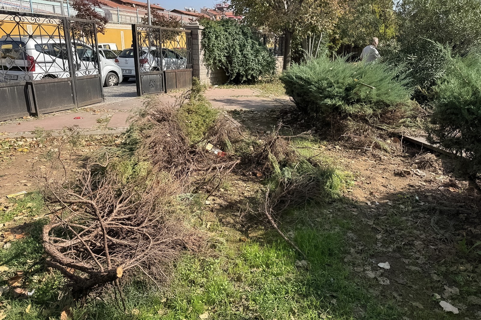 Whatsapp Image 2025 10 28 At 14.45.54