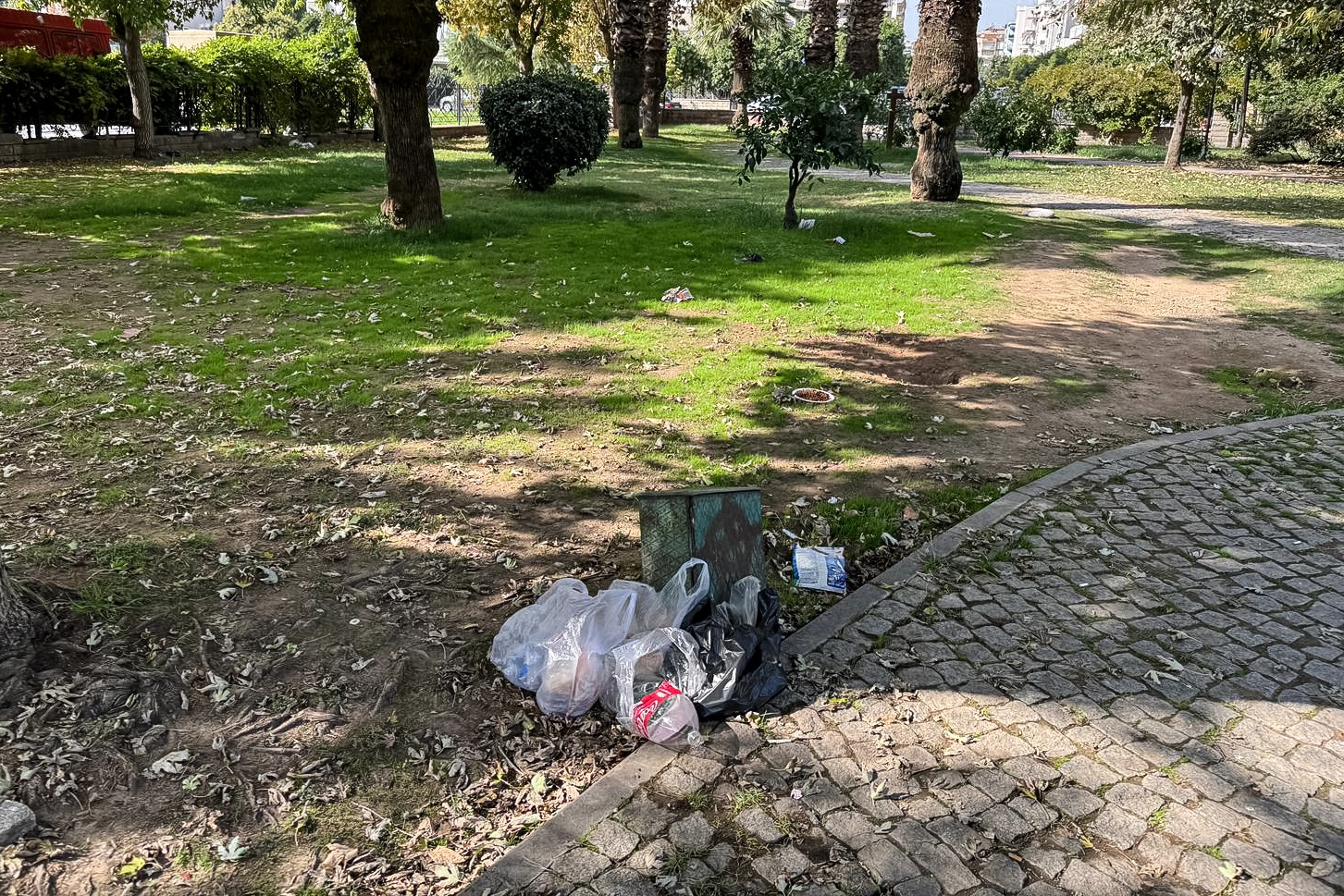 Whatsapp Image 2025 10 28 At 14.45.55