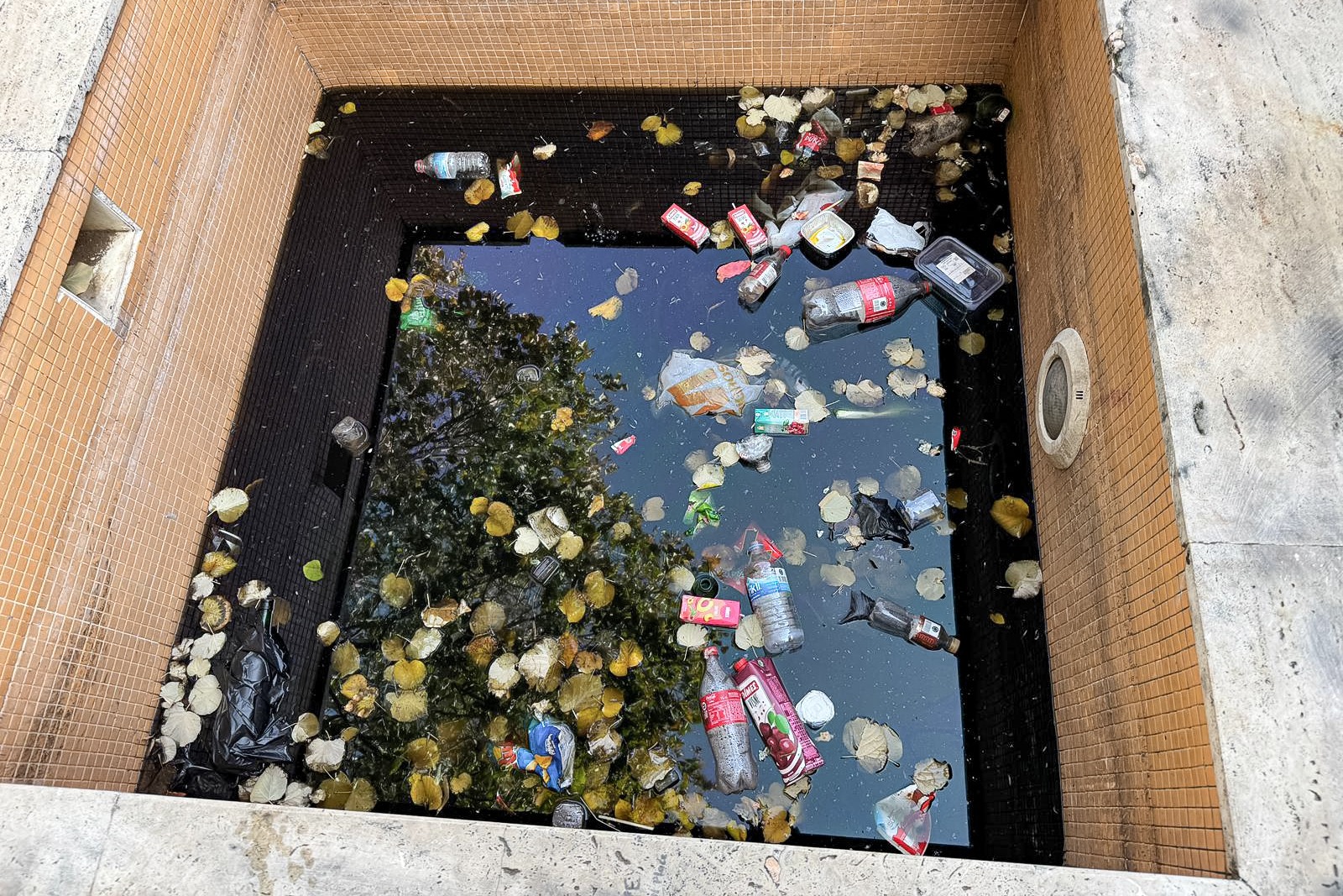 Whatsapp Image 2025 10 28 At 14.45.56 (1)