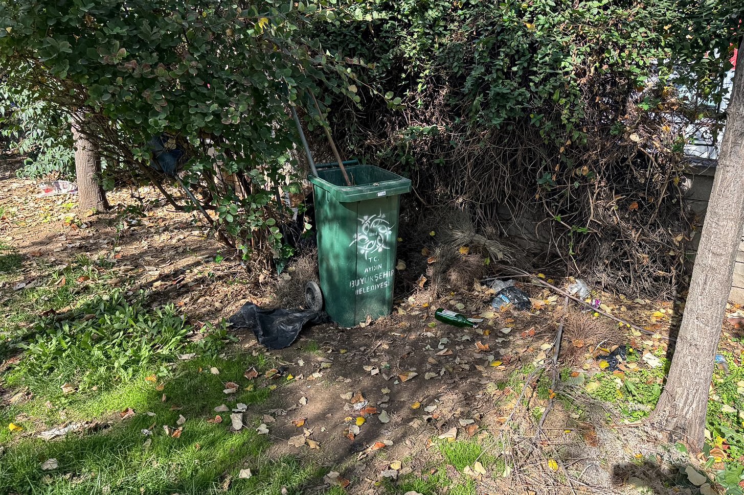 Whatsapp Image 2025 10 28 At 14.45.56 (2)