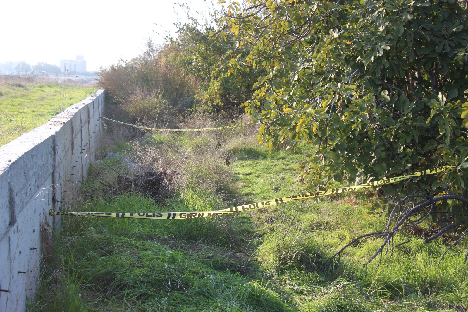 13212Db3 908A 4403 Bdff A08913Ab1967