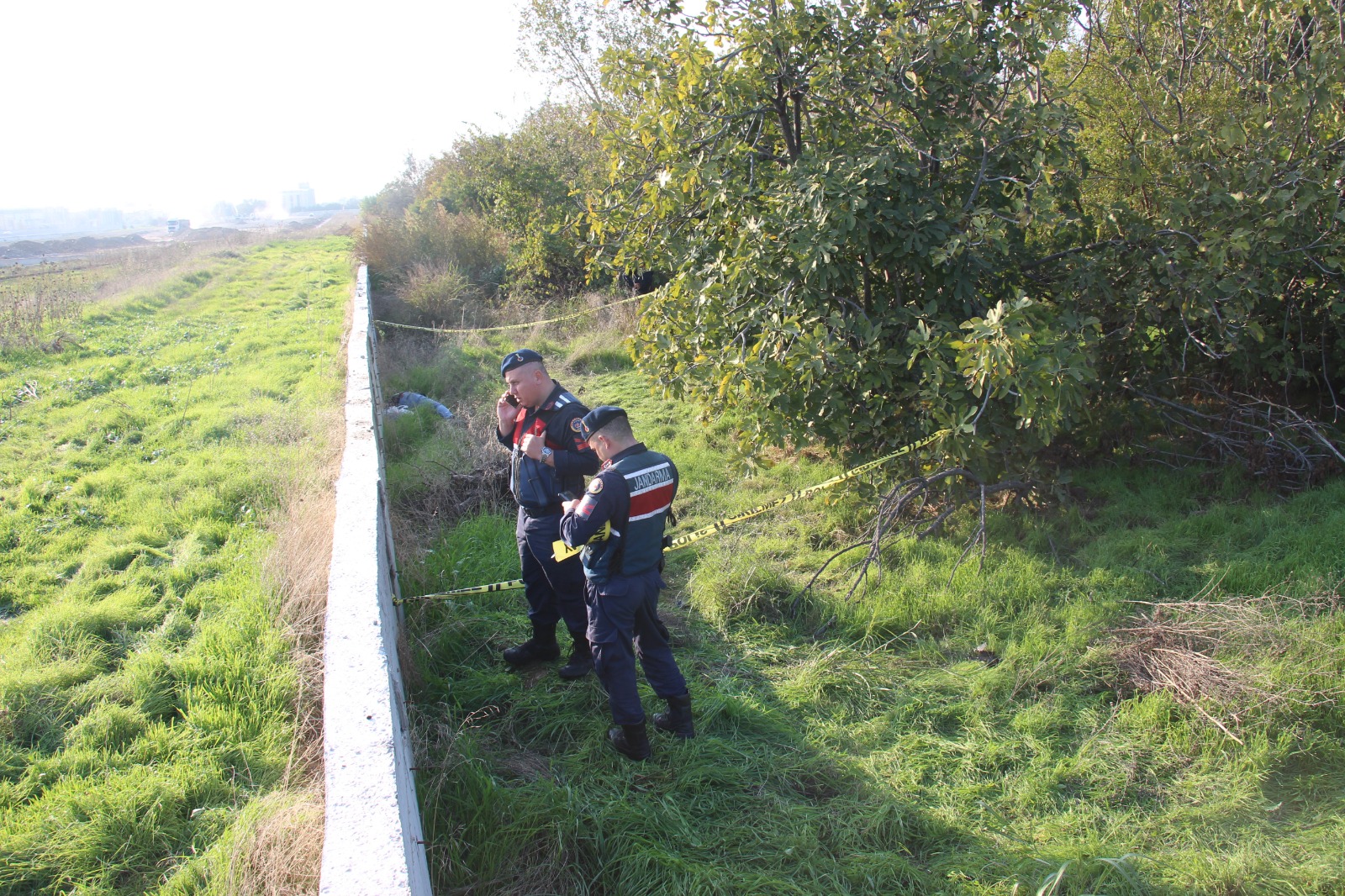 142B1668 99Ef 4A88 Bd24 B553Ff8E39A6