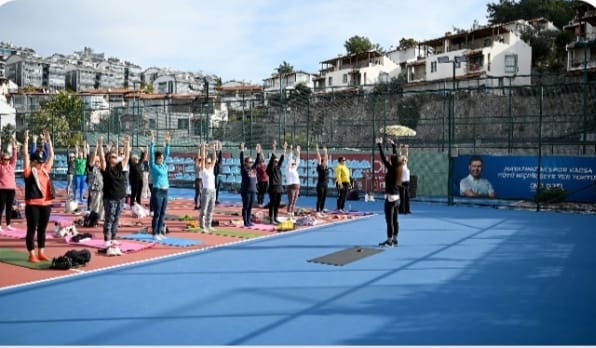 187976E7 1C1D 40C5 B42A Ff98Dfb0E1B6