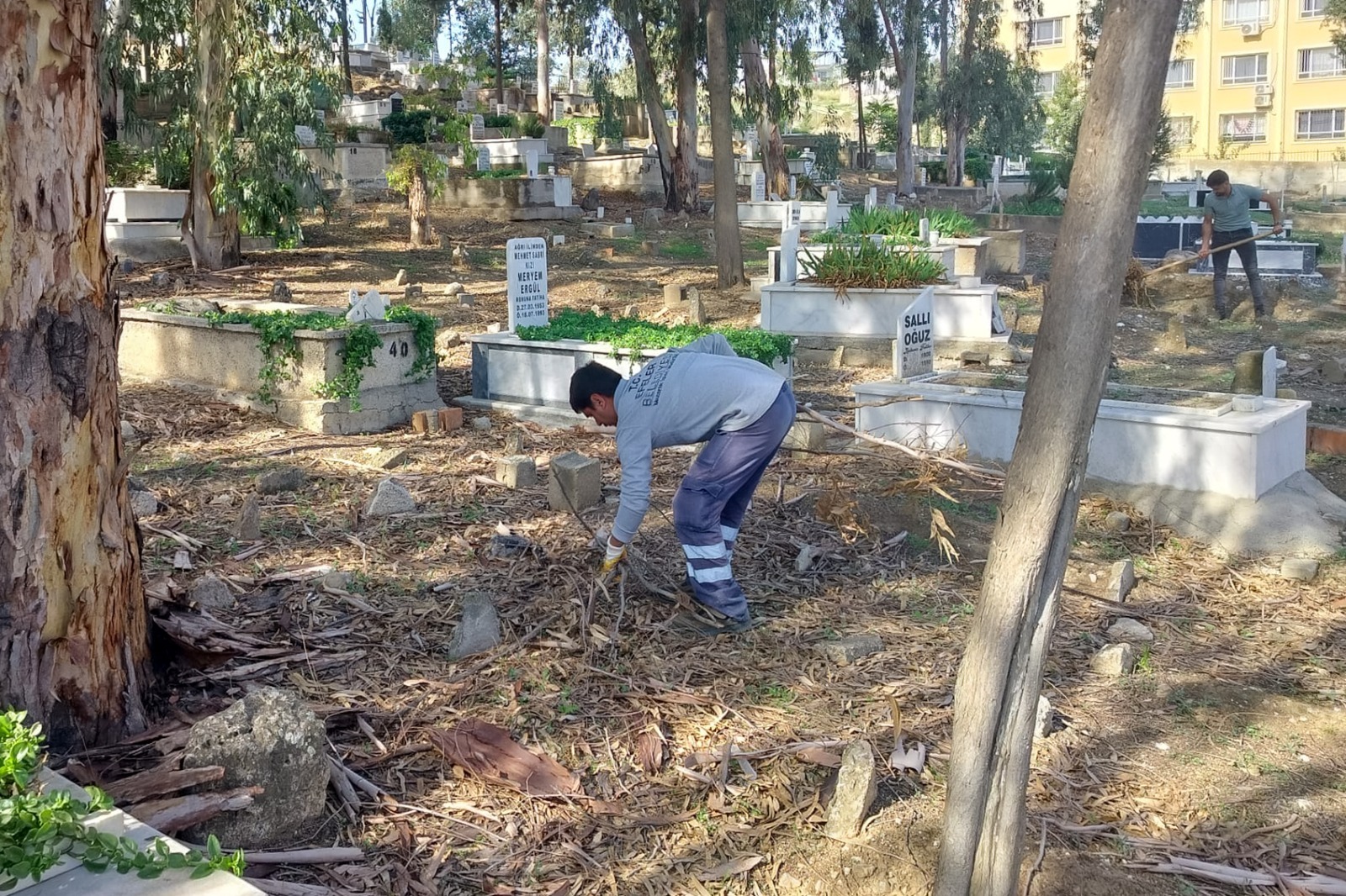 28Eb88C1 A7C0 4D6B Aba2 Ea39326E8Ef9