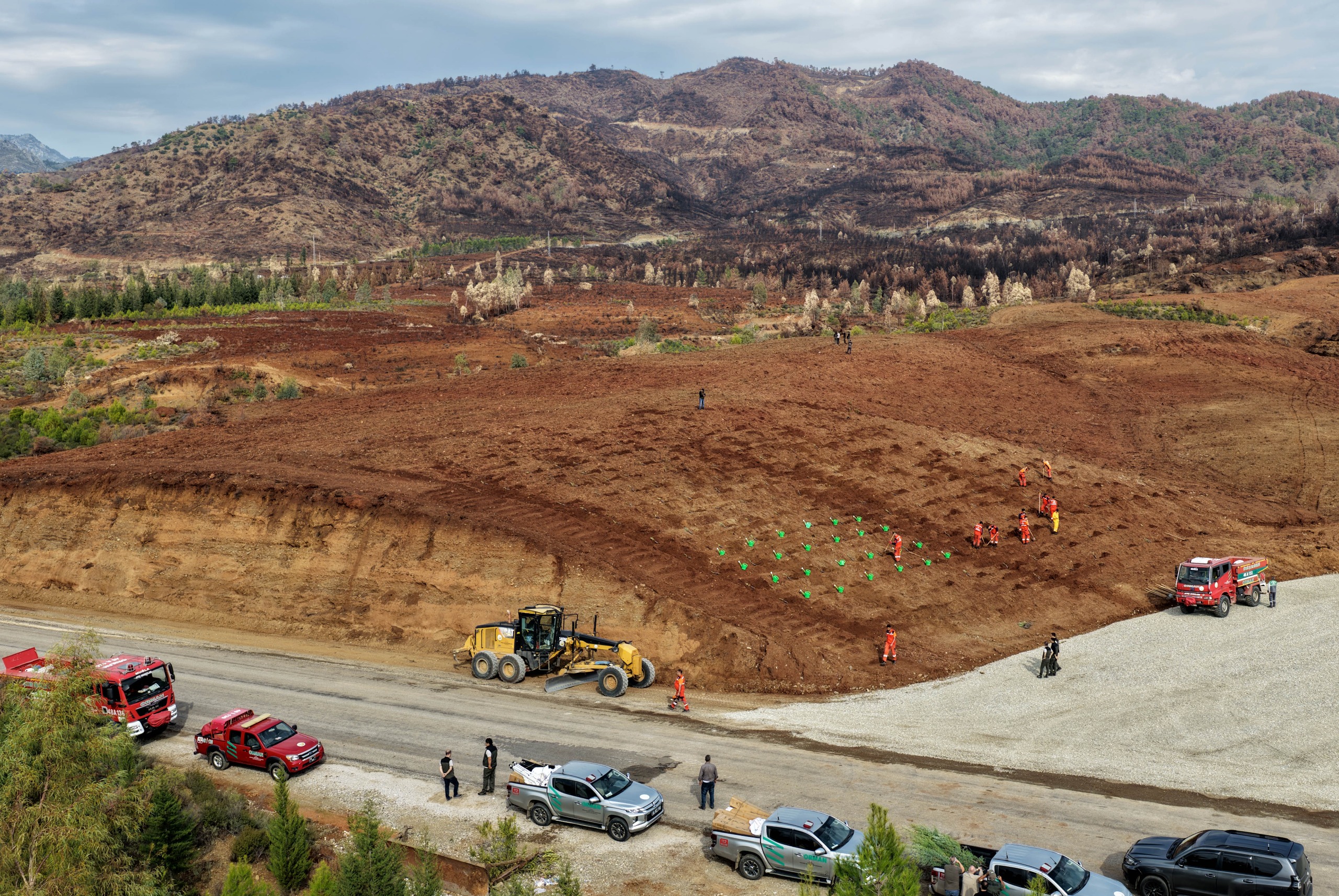 649E049F B272 4E88 924F D9F87D463C26