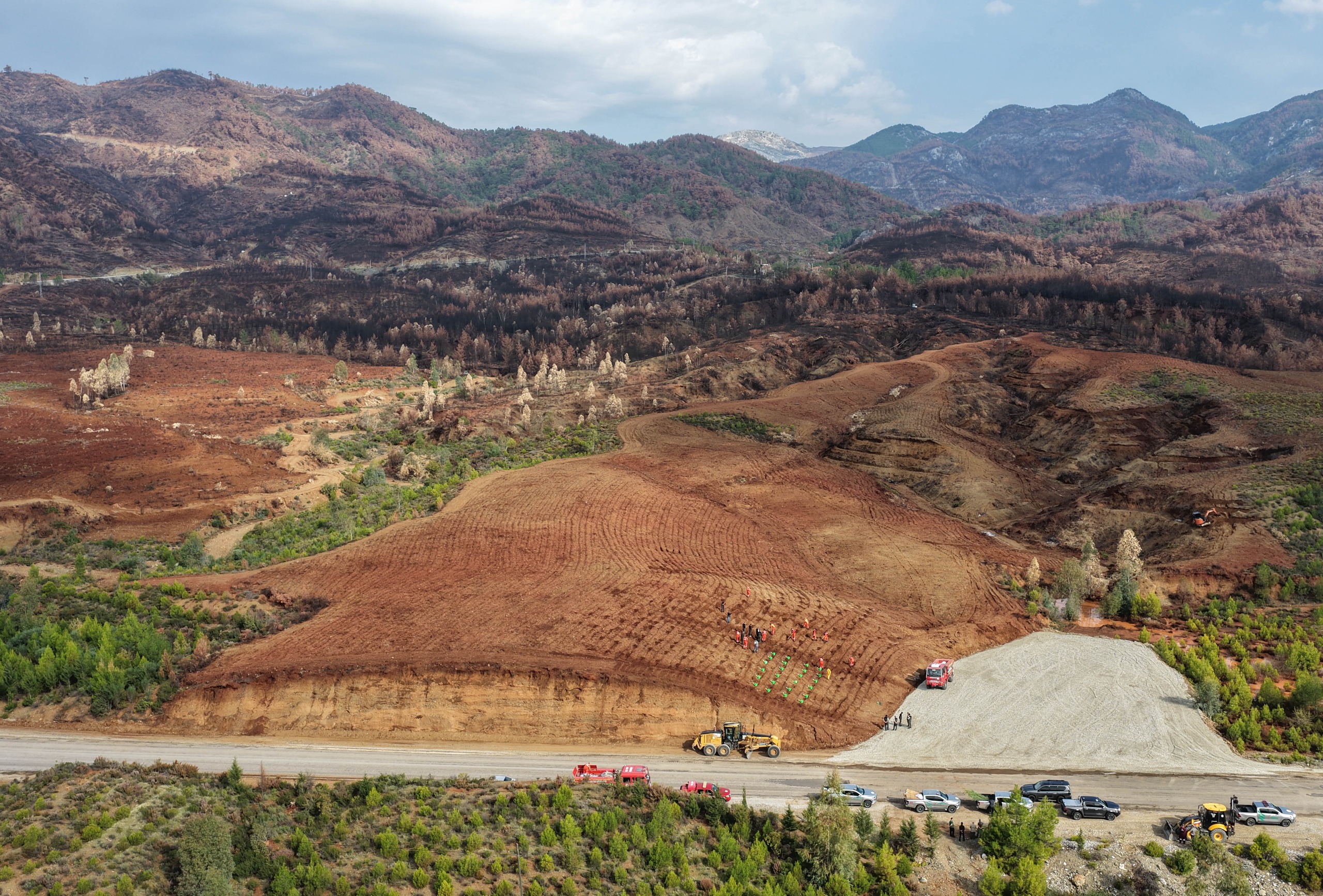 990484E8 59E6 4856 9Ea6 C051B3Fda5F0