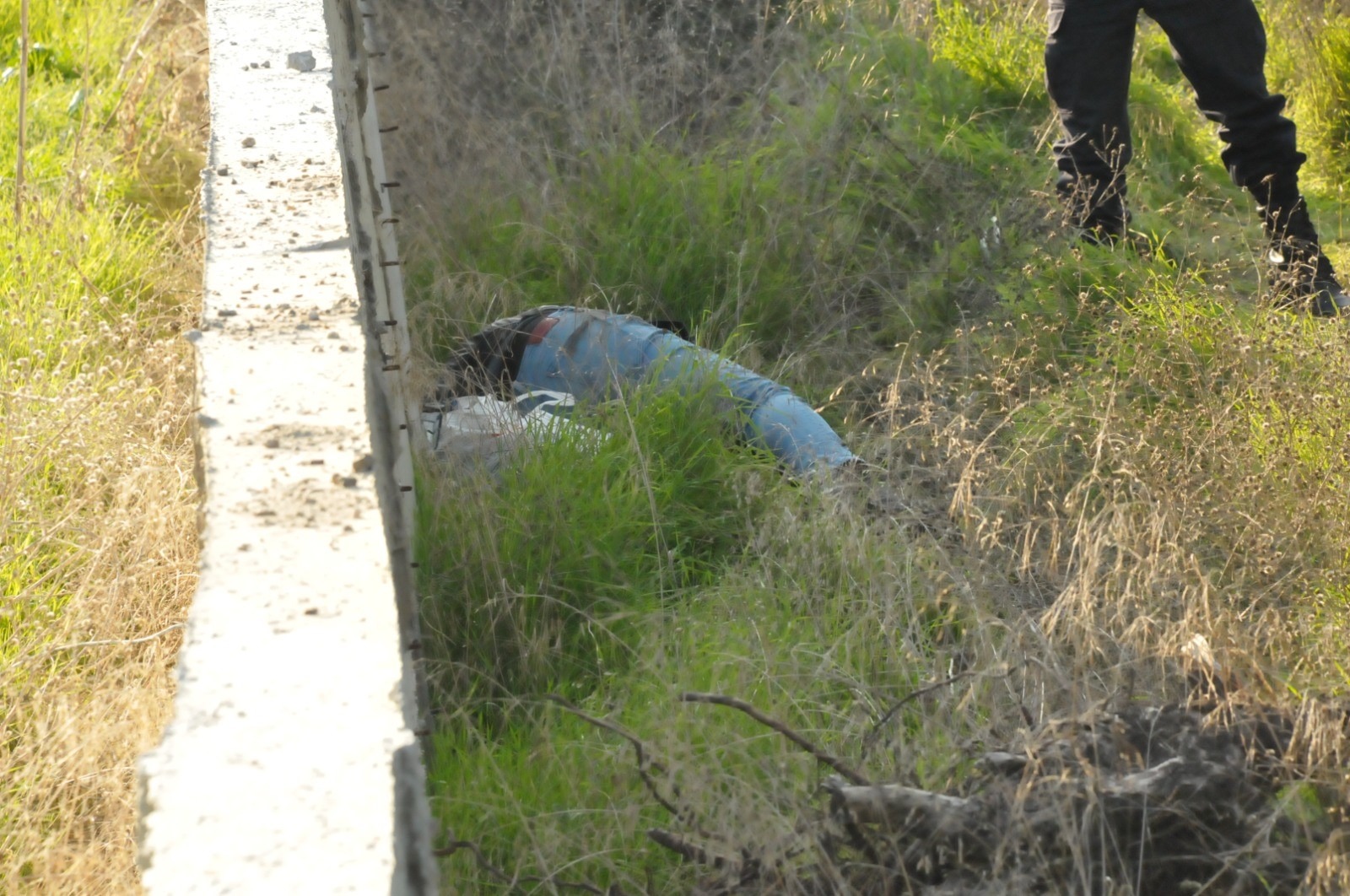 Ab3A49A0 5699 48D5 8262 075D25Bed76E