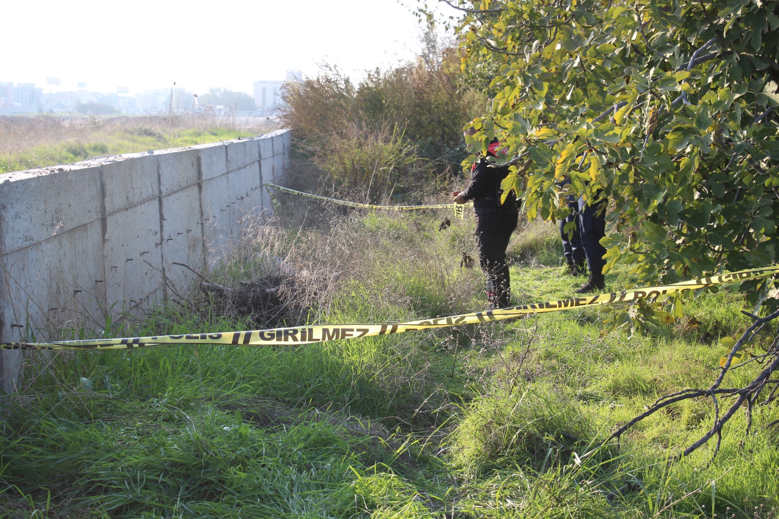 D82790Ec 0C26 40A1 9C95 31F4678C3B60