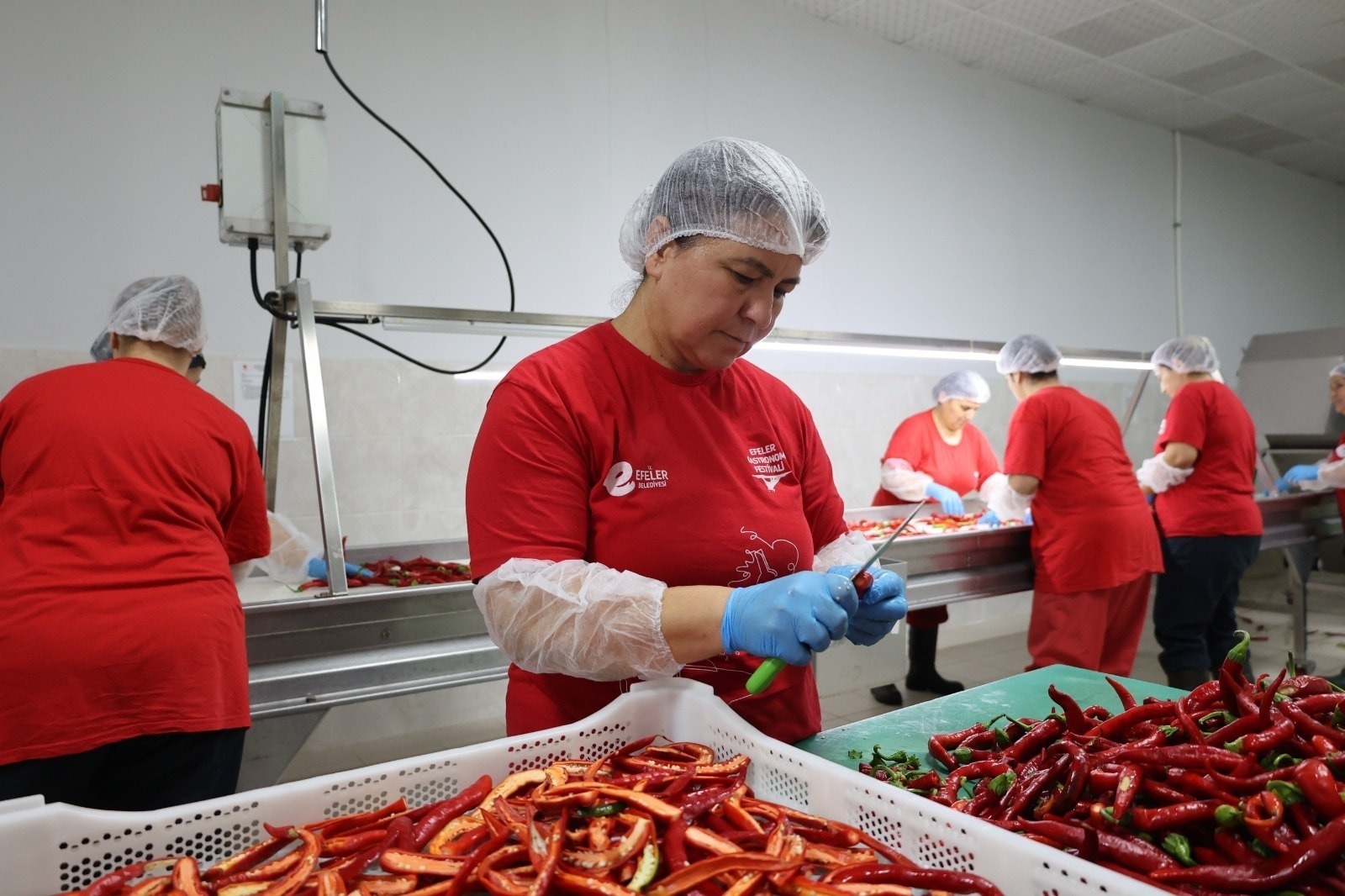 Whatsapp Image 2025 11 01 At 12.34.10 (1)