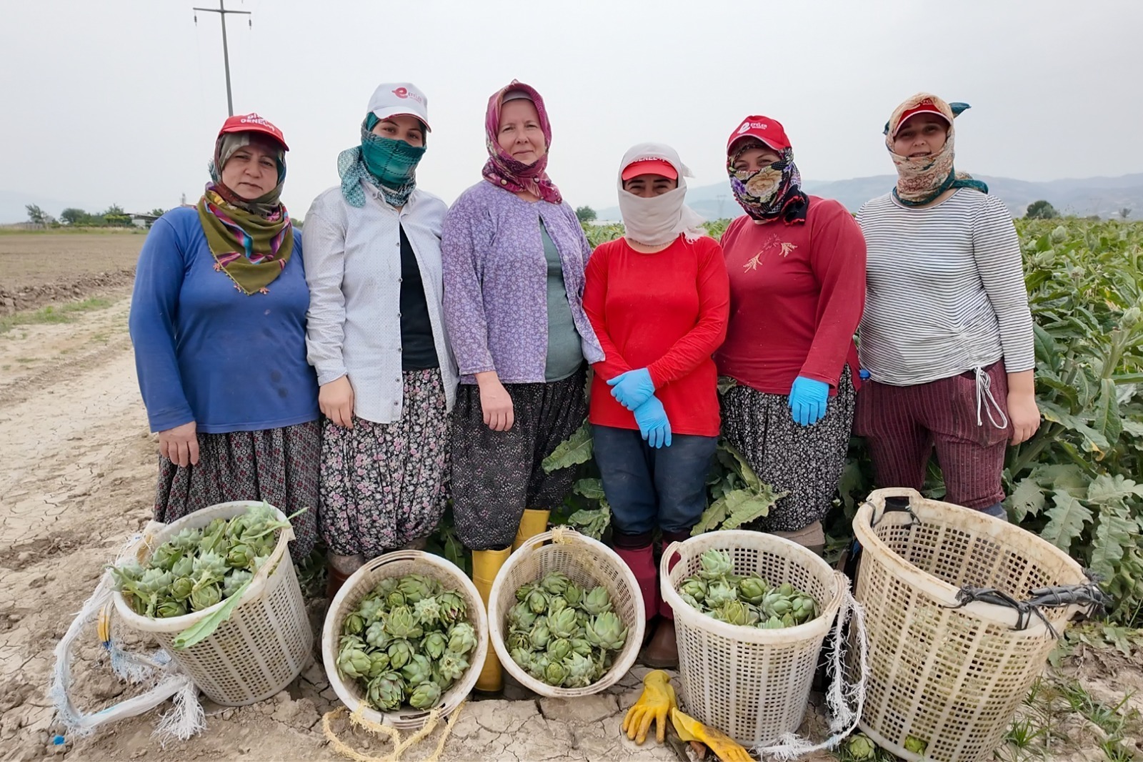 Whatsapp Image 2025 11 01 At 12.34.10