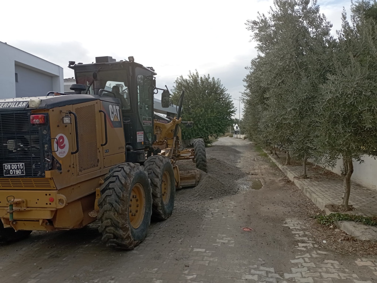 Whatsapp Image 2025 11 01 At 14.55.04 (1)