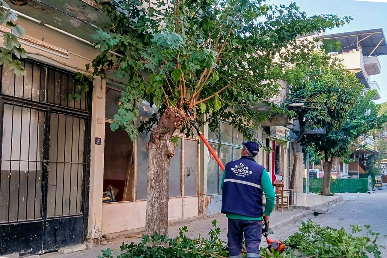 Whatsapp Image 2025 11 04 At 14.46.43 (1)