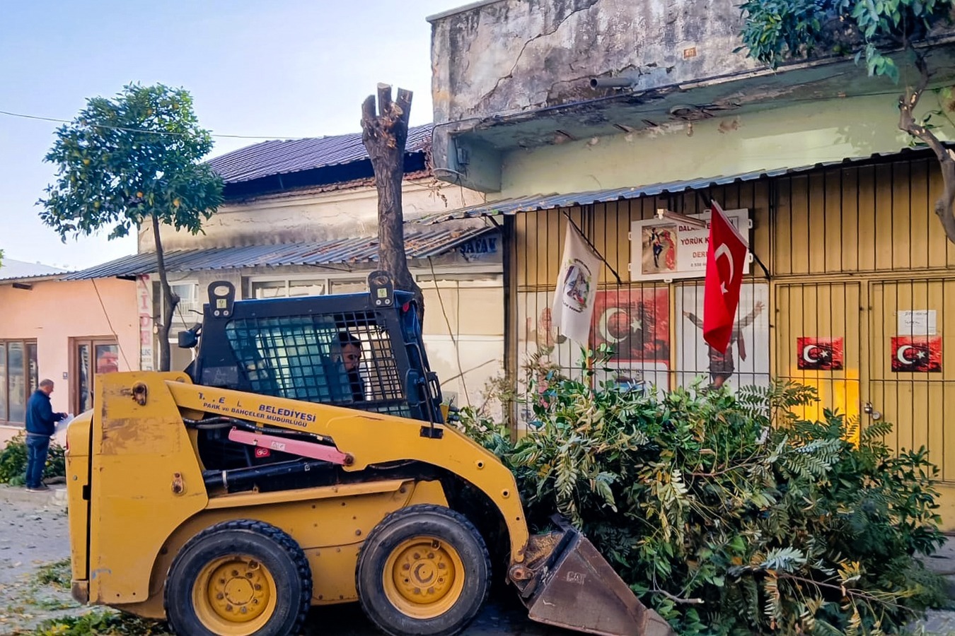 Whatsapp Image 2025 11 04 At 14.46.43 (2)