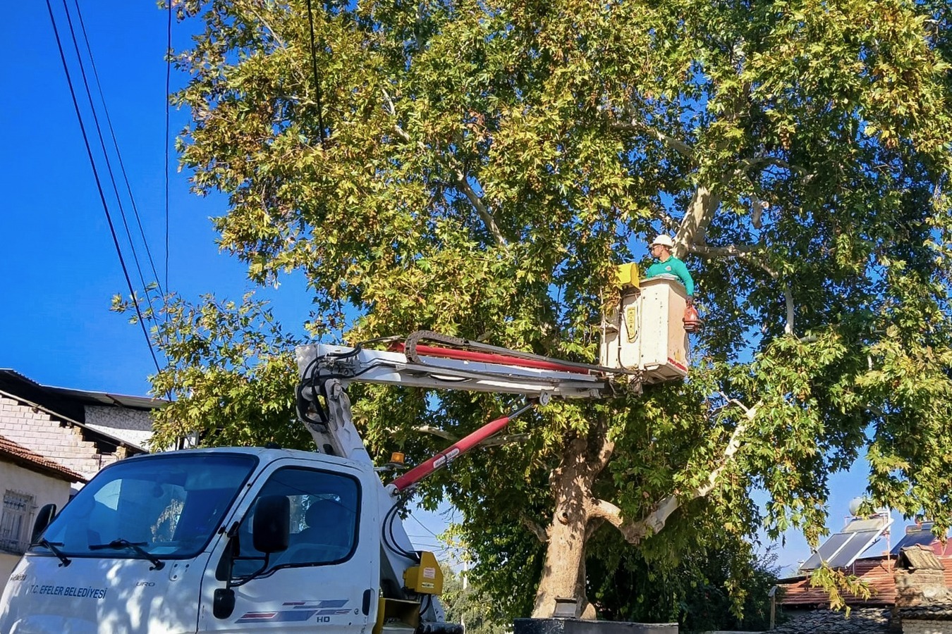 Whatsapp Image 2025 11 04 At 14.46.43