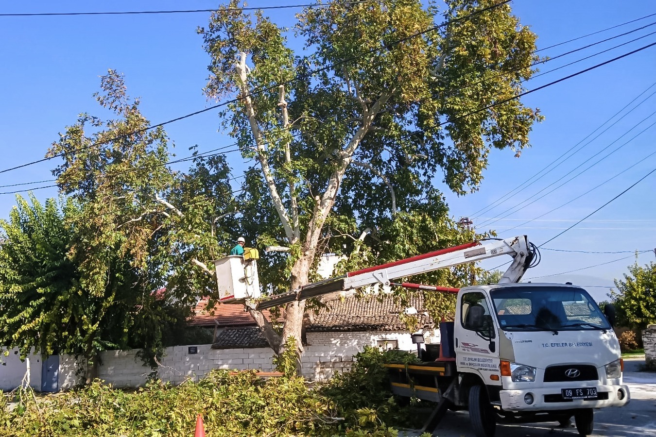 Whatsapp Image 2025 11 04 At 14.46.44 (1)