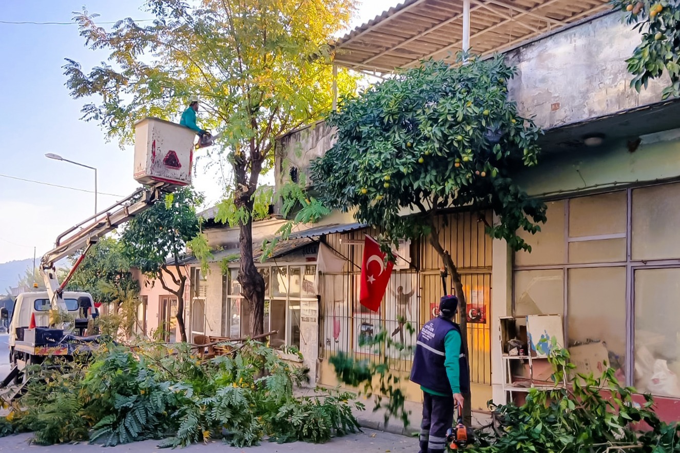 Whatsapp Image 2025 11 04 At 14.46.44